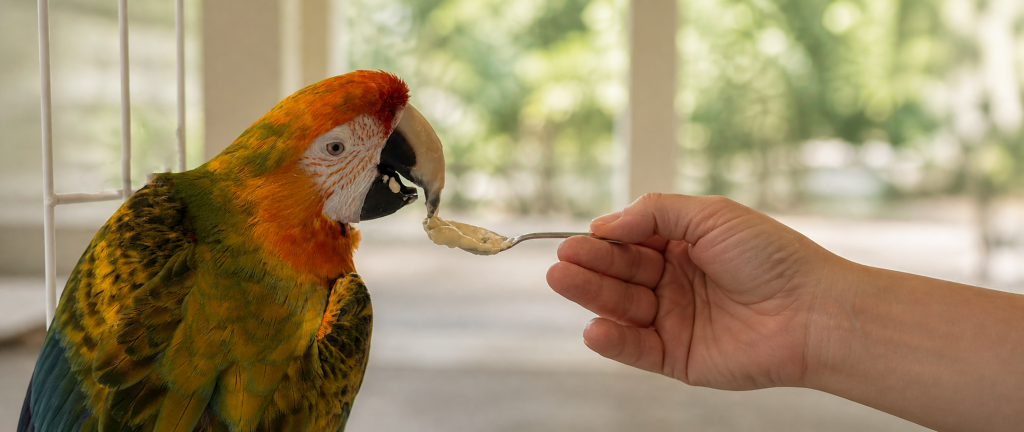 feeding