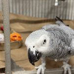 IMG_2991